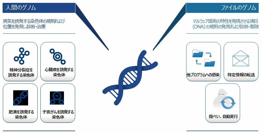 DNAスキャン